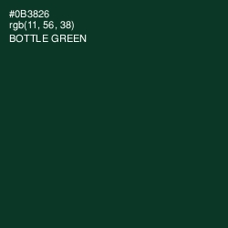 #0B3826 - Bottle Green Color Image