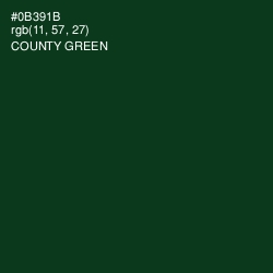 #0B391B - County Green Color Image
