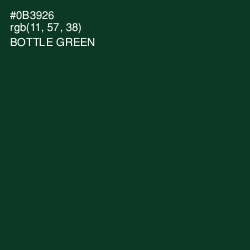 #0B3926 - Bottle Green Color Image