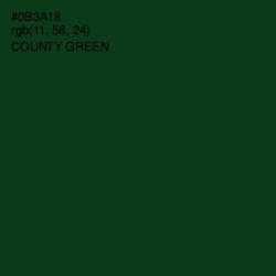 #0B3A18 - County Green Color Image