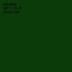 #0B3B08 - Palm Leaf Color Image