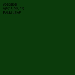 #0B3B0B - Palm Leaf Color Image