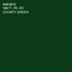 #0B3B16 - County Green Color Image