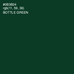 #0B3B24 - Bottle Green Color Image