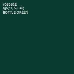 #0B3B2E - Bottle Green Color Image