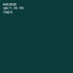 #0B3B3B - Tiber Color Image