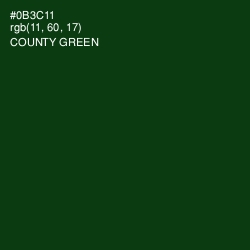 #0B3C11 - County Green Color Image