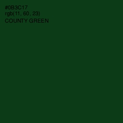 #0B3C17 - County Green Color Image