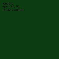 #0B3D10 - County Green Color Image