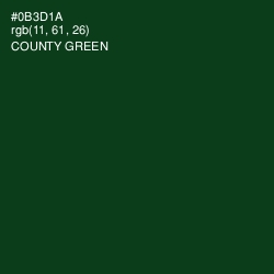 #0B3D1A - County Green Color Image
