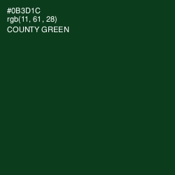 #0B3D1C - County Green Color Image