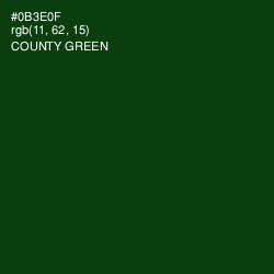 #0B3E0F - County Green Color Image