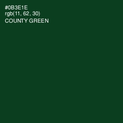 #0B3E1E - County Green Color Image