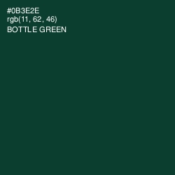 #0B3E2E - Bottle Green Color Image