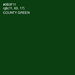 #0B3F11 - County Green Color Image