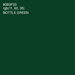 #0B3F23 - Bottle Green Color Image