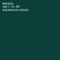 #0B403A - Sherwood Green Color Image