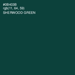 #0B403B - Sherwood Green Color Image