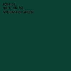 #0B4132 - Sherwood Green Color Image