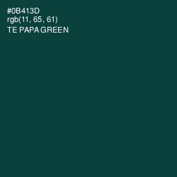 #0B413D - Te Papa Green Color Image