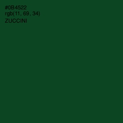 #0B4522 - Zuccini Color Image