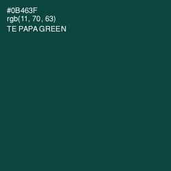 #0B463F - Te Papa Green Color Image