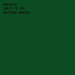 #0B4C21 - Kaitoke Green Color Image