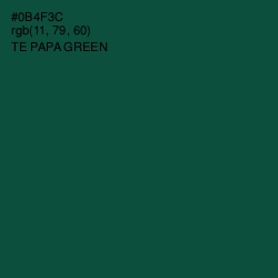 #0B4F3C - Te Papa Green Color Image