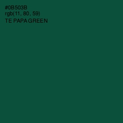 #0B503B - Te Papa Green Color Image