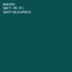 #0B5051 - Deep Sea Green Color Image