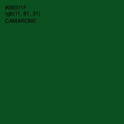 #0B511F - Camarone Color Image