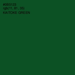 #0B5123 - Kaitoke Green Color Image