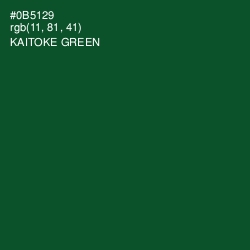 #0B5129 - Kaitoke Green Color Image