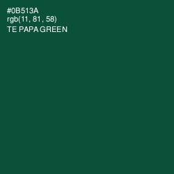 #0B513A - Te Papa Green Color Image