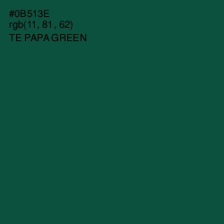 #0B513E - Te Papa Green Color Image