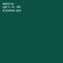 #0B5144 - Evening Sea Color Image