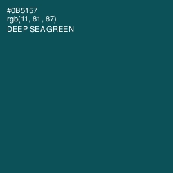 #0B5157 - Deep Sea Green Color Image