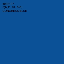 #0B5197 - Congress Blue Color Image