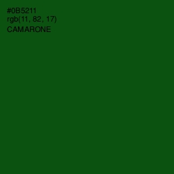 #0B5211 - Camarone Color Image