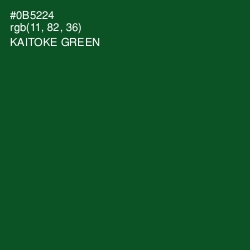 #0B5224 - Kaitoke Green Color Image