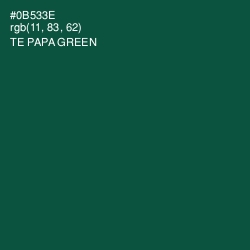 #0B533E - Te Papa Green Color Image