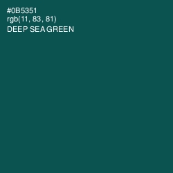 #0B5351 - Deep Sea Green Color Image