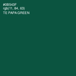 #0B543F - Te Papa Green Color Image