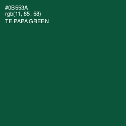 #0B553A - Te Papa Green Color Image