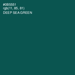 #0B5551 - Deep Sea Green Color Image