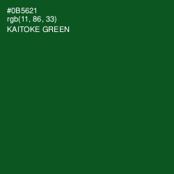 #0B5621 - Kaitoke Green Color Image