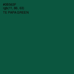 #0B563F - Te Papa Green Color Image