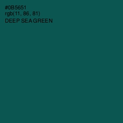 #0B5651 - Deep Sea Green Color Image