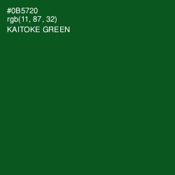#0B5720 - Kaitoke Green Color Image