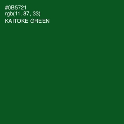 #0B5721 - Kaitoke Green Color Image
